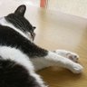 aki875 profil fotoğrafı
