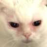 wxxxxxy profil fotoğrafı