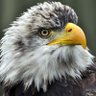 OFINKIN profil fotoğrafı