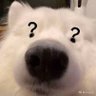 夏天什么时候来呀's profile picture