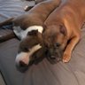 Profilbild von Mack&Lou
