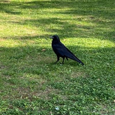 ksksdarui100's profile picture
