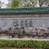 Фото профиля 风来疏竹