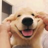 joygegejajungja's profile picture