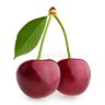Cherry profil fotoğrafı