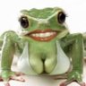 sapy leão sayeg's profile picture