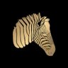 Bianconeri Zone profil fotoğrafı