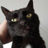 Melly profil fotoğrafı