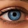 Profilbild von Gary Marsden #FBPE #FBPA #FBPPR 🇪🇺 🇬🇧 🇺🇦