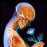 حُ ـسَآم❥☢️'s profile picture