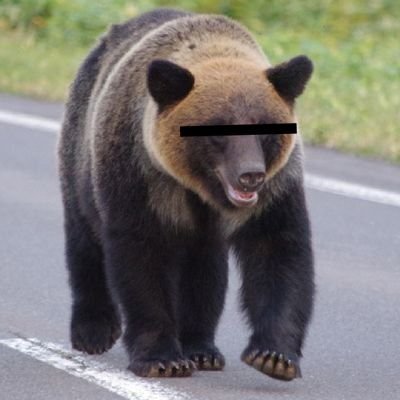 さっと's profile picture