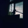 暁 (甲甲甲/甲丙) profil fotoğrafı