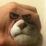 Profilbild von Cotsdi
