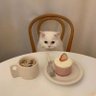 JUJIMEOW profil fotoğrafı
