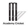 Фото профиля Academy Cricket