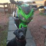 Фото профиля Geordie Gixxer 🏴󠁧󠁢󠁳󠁣󠁴󠁿
