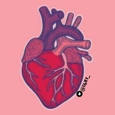 l481_'s profile picture