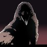 CAW CAW CAW's profile picture
