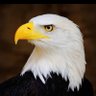 Edward2008's profile picture