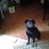 Sheri profil fotoğrafı