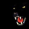 PantherKI's profile picture