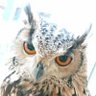 Profilbild von Otus scops/モフモフに愛を込めて