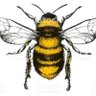 🐝Buzz🐝no followers please profil fotoğrafı