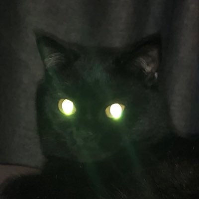 小贺's profile picture