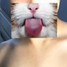 3lackdevil_cat's profile picture