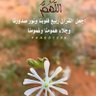 مرحبا profil fotoğrafı