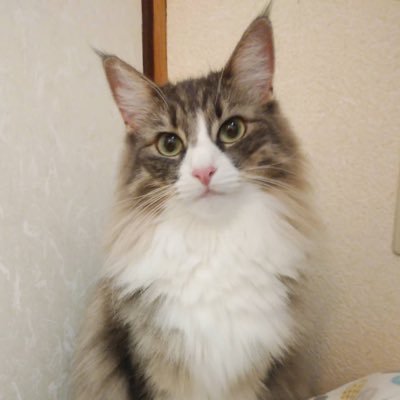 ãã€ã's profile picture