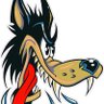 Bigbadwolf's profile picture