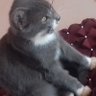 Profilbild von Mari B38