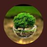 مُلْهِمة's profile picture