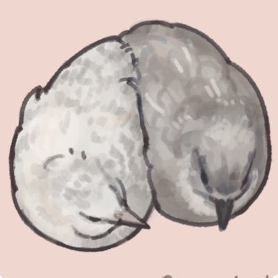 SSfXF4RtLRwh22F's profile picture
