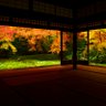 ウィンディン 的头像
