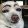 Profilbild von David skillz