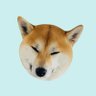 Profilbild von みーちゃん