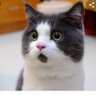 Фото профиля la super gata