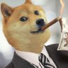 Фото профиля Doge Whisperer
