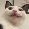 prdsDef's profile picture