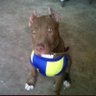 Juan Ingolotti 's profile picture