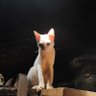 Dondanny99's profile picture