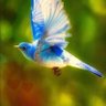 はにかみ工場長 profil fotoğrafı
