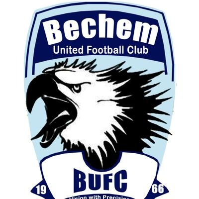 BechemUnitedFC's profile picture