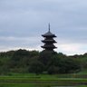 Фото профиля みみこ🐦🦊🌆