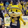 SATOKO#BREXNATION profil fotoğrafı