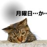 hekone2008(アンチカルト&アンチ維新の会&アンチJR東海の葛西&アンチ竹中平蔵) profil fotoğrafı