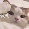 零件 profil fotoğrafı