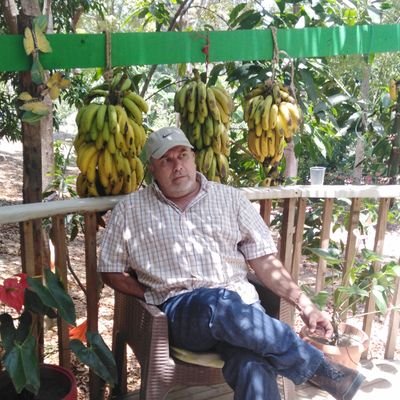 El Fogón de Palo🔥's profile picture